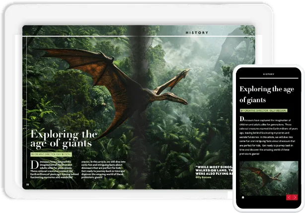 Flow publication example