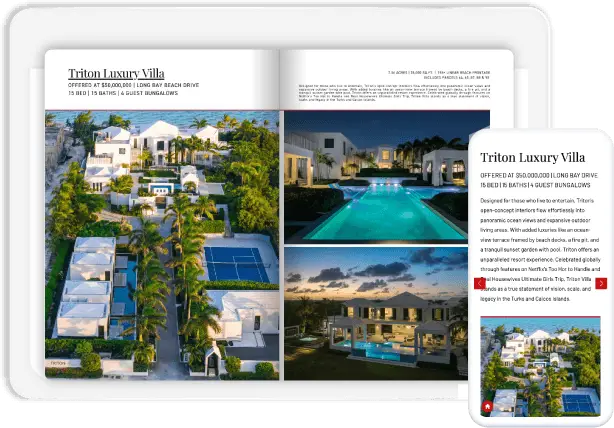 Flow publication example