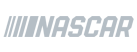 The Nascar Logo