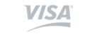 The Visa Logo